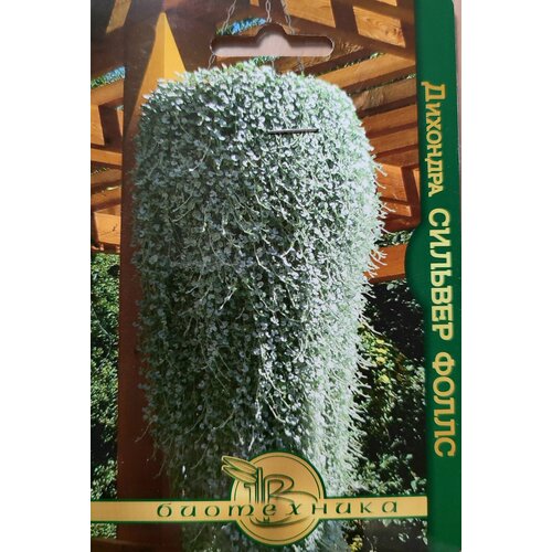 ������ ������ �������� ������� ����� (5��) ����