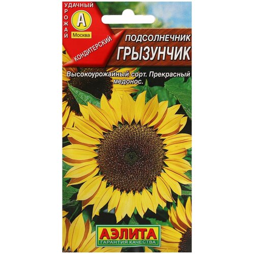 ������ ������ ������ ��������� ������ ������������ ���������, 5 � ����