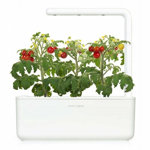 ������ ������ Click And Grow ����� ��� Click And Grow Smart Garden 3 ����� ����� (�����) ����