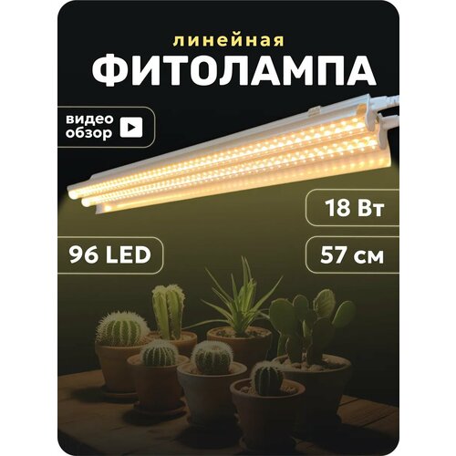 ������ ������ ��������� ��� �������� ������ ������ �������� ����