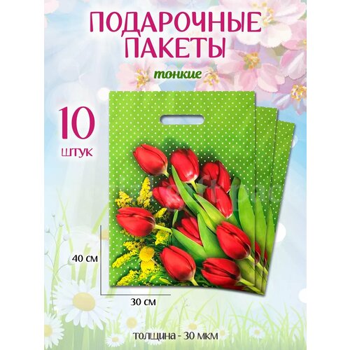 ������ ������ ���������� ������ ����� �������������� ����