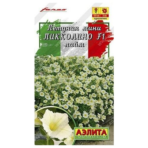 ������ ������ ������. ������� ���� 