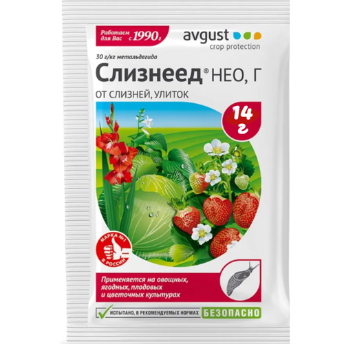 ������ ������ �������� �� ��������� � ������ 