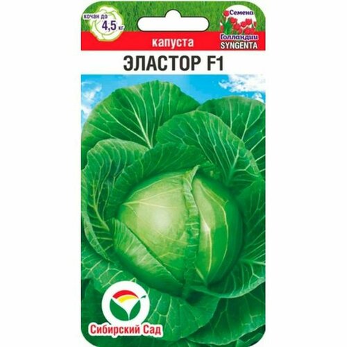 ������ ������ ������ ������� �/� ������� F1 ��. (��������� ���) 10�� ����