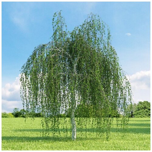 ������ ������ ������ ������ ����� �������� 1000 ��. ����