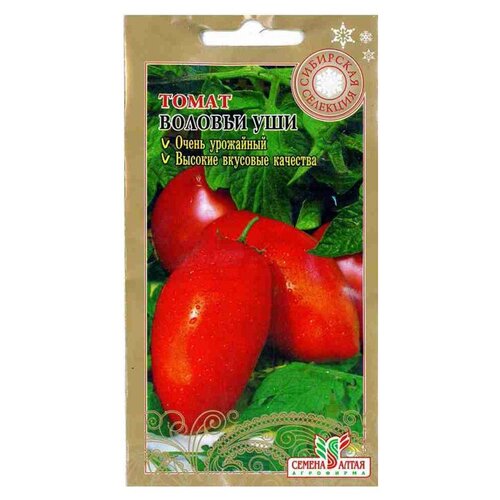 ������ ������ ������ ����� 