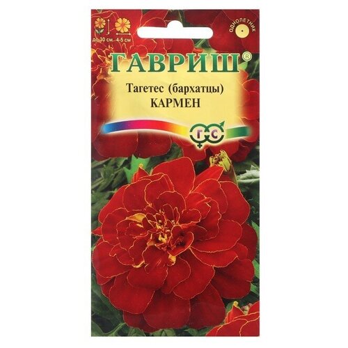 ������ ������ ������ ������ �������� ����������� (�������) 