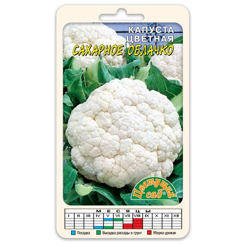 ������ ������ ������ �������� ��� 