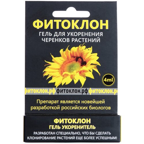 ������ ������ �������� ����-����������� 4�� ����