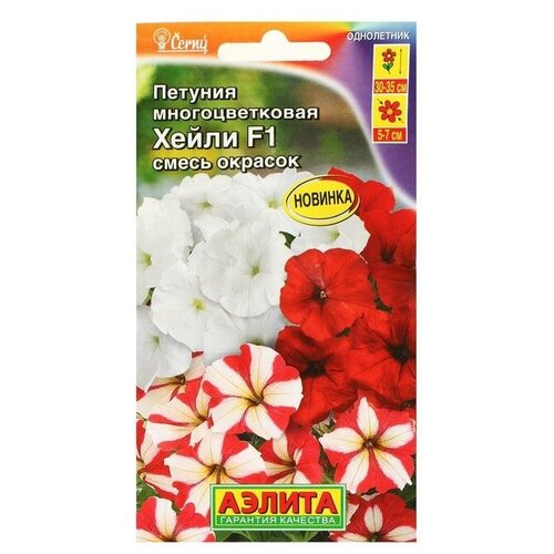 ������ ������ ������. ������� �������������� 