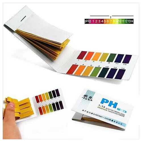 ������ ������ ���� �������, 80 ����, ����������, �� ����, ���������� ������, ��� ����, ��� �����, ��� ���������. ����