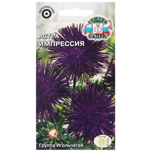 ������ ������ ������ ������ ������ ����� ��������� (���������, ����������, �����-����������) . ����, 0,2 � ����