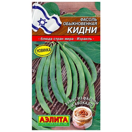 ������ ������ ������. ������ ������������ 