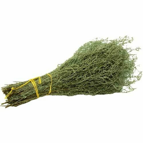 ������ ������ ����� �������� ���� �����, �� ������ ������, ��� ����, ������ 2024 ����