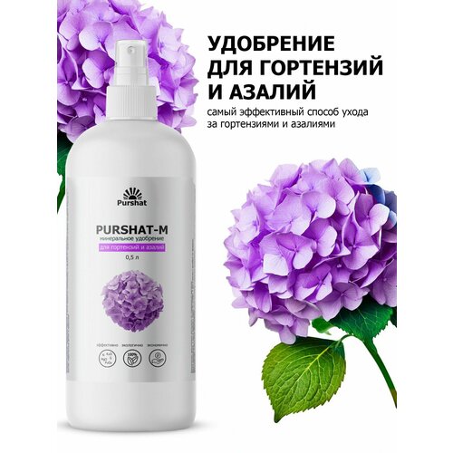 ������ ������ ��������� ��� ���������, ������������� � ������ ������ (Purshat) ����� 500 �� ����