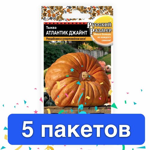 ������ ������ ������ ������ ������� ������ 