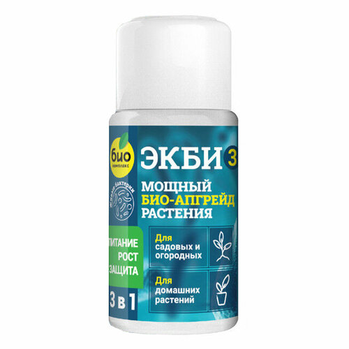 ������ ������ ���-�������� 