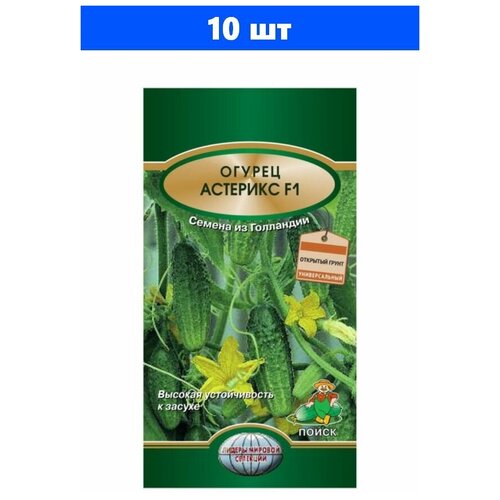 ������ ������ ������ ������ �������� F1 10 ��. ����