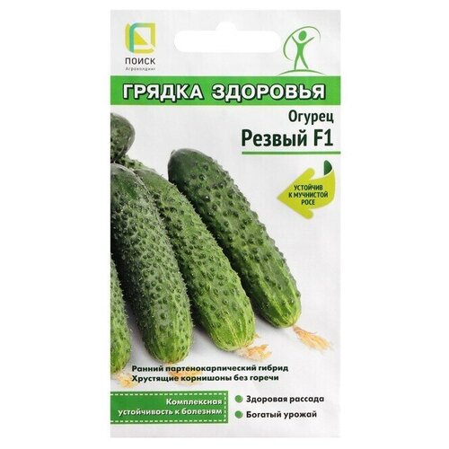 ������ ������ ������ ������ ������ F1 12�� (�����) ������ �������� ����