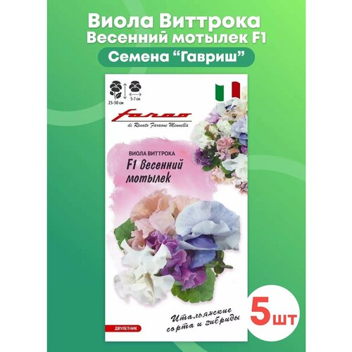 ������ ������ ����� 