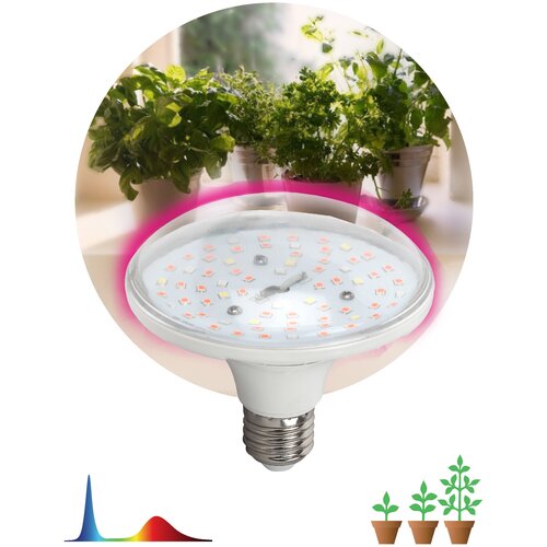 ������ ������ ����� ��������� ���� 18�� �27 ������-������ ������� FITO-18W-RB-E27 ��� ����