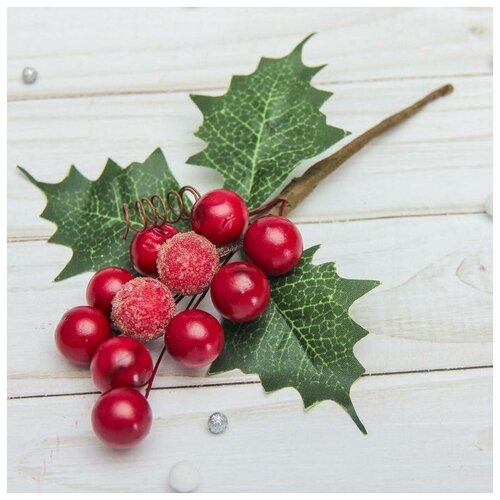 ������ ������ ����� 