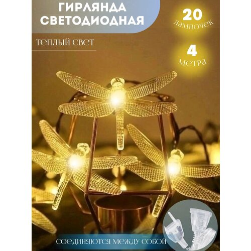 ������ ������ �������� �������� 4 ����� ����