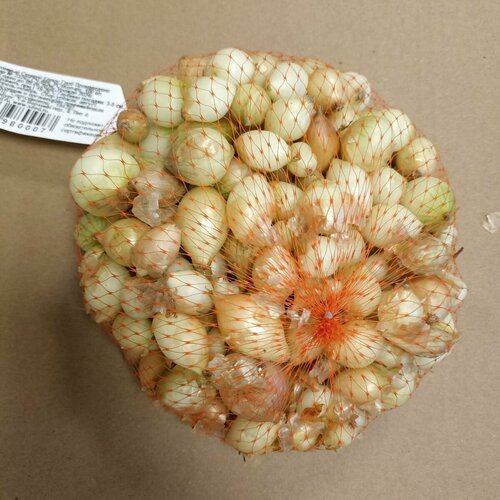 ������ ������ ��� - ����� ������ ������ ����� ���� (������) 100�� ������� ����