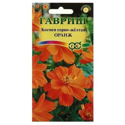 ������ ������ ������ ������ ������ 