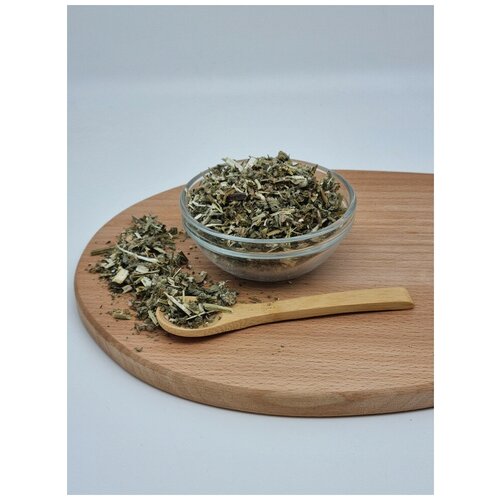 ������ ������ ��������� ����� 1�� ����