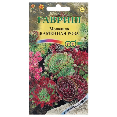 ������ ������ �������� �������� ���� , ������ ������ ( 1��: 0,01 � ) ����