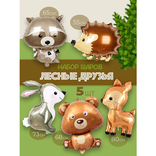 ������ ������ ����� �������������� ��������� ����� �������� ����