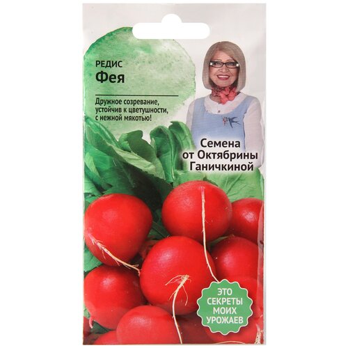 ������ ������ ������ ����� ������������� ��� ��� 3 � ����