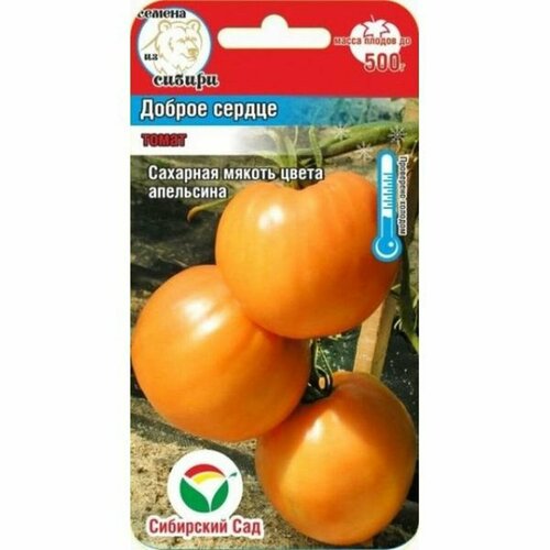 ������ ������ ������ ����� ������� ������ (�����������), ������������, (��������� ���) 20�� ����