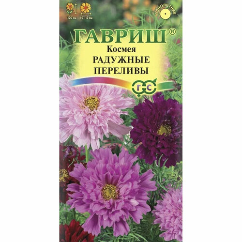 ������ ������ ������ ������ �������� �������� 0,1 � ����