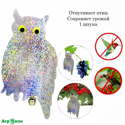 ������ ������ ��������� ��� ����������� ���� 