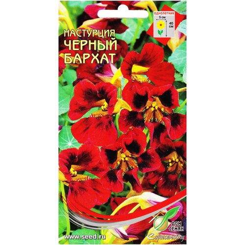 ������ ������ ������ ��� ����� ��������� ������ ������, 9 ��. ����