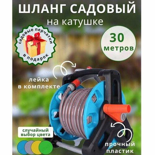 ������ ������ ���������� ����� �� ������� 30 � ����