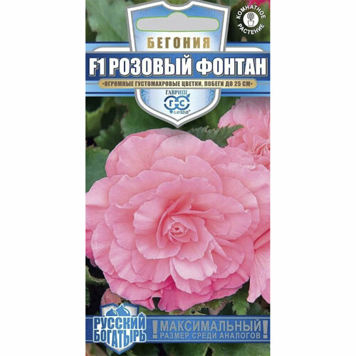 ������ ������ ������ ������� ��������� ������� ������ F1 4 ��. ����