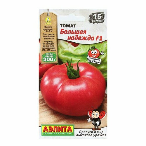 ������ ������ ������ ����� ������� ������� F1 15�� ����� ������ (������) ����