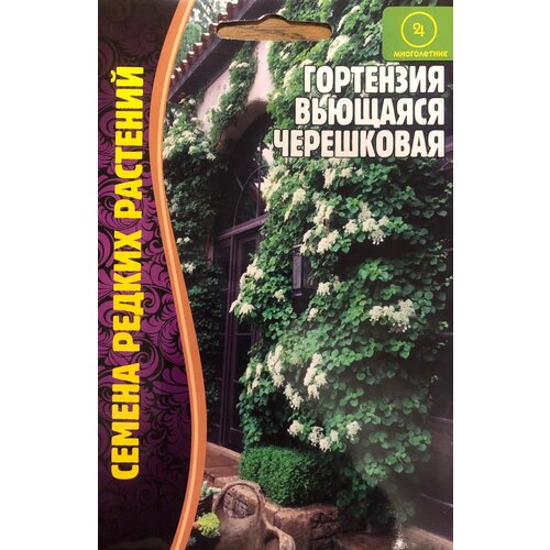 ������ ������ ������ ��������� �������� ���������� (20 �����) ����