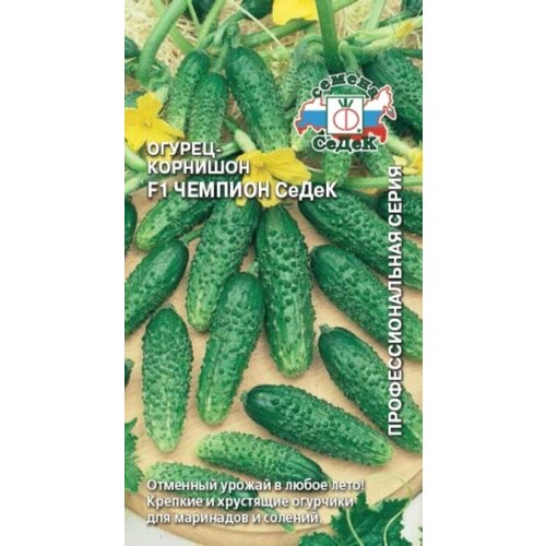 ������ ������ ������ ������ ������� F1 �������� 0,2� ������������������ (�����) ����