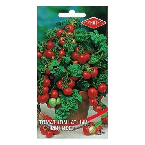 ������ ������ ����� ��������� �������, 15 ����� ����