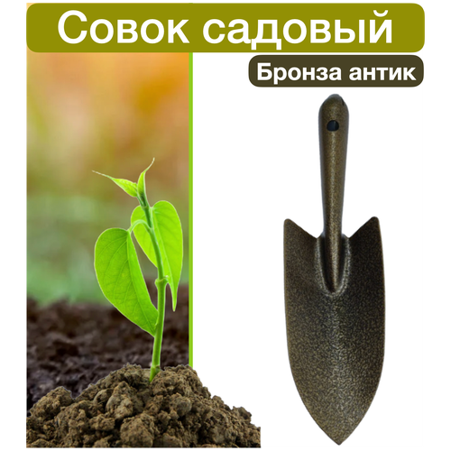 ������ ������ ����� ������� ����