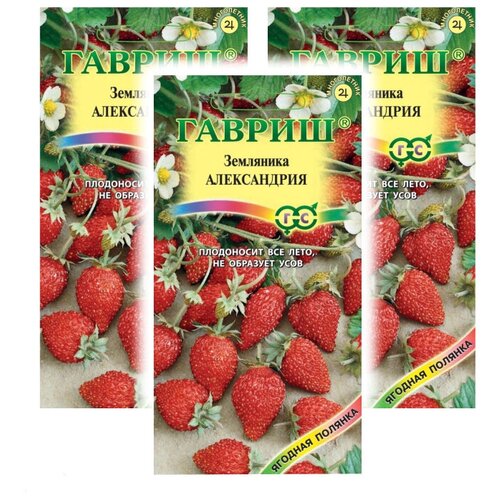 ������ ������ �������� ����� ��������� ����������� � 3 ��. ����