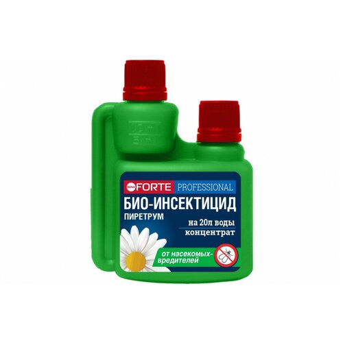 ������ ������ ������������� �� ��������� ���� ����� ��������, �����-���������� �� ���������� �� ������ ������� �� ���������� �������, 100�� ����