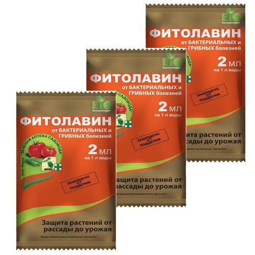 ������ ������ ��������� (2 ��),3 �� ����