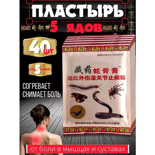 ������ ������ �������� ��������� 5 ���� ����