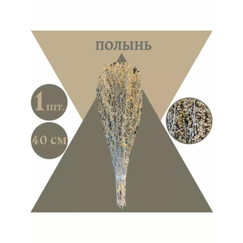 ������ ������ �������� ����� 