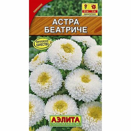 ������ ������ ������ ����� ��������, ����������, (������) 0,2� ����